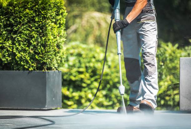 Best Gutter Cleaning  in Plymouth, MI